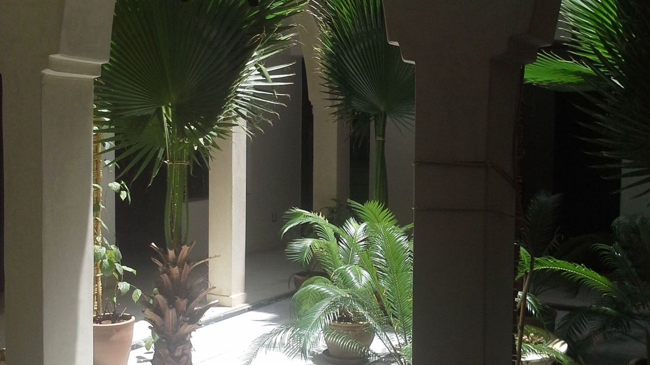 Photo of Outdoor in Menara