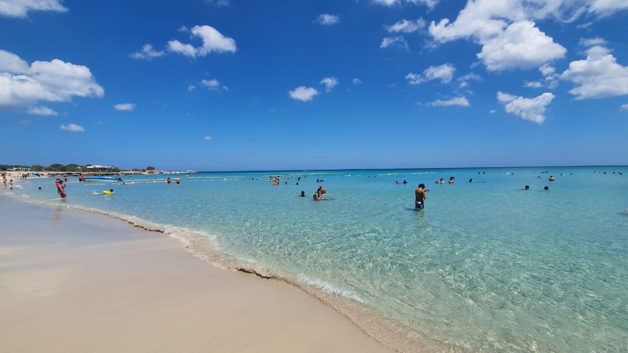 Photo of Others in Kelibia