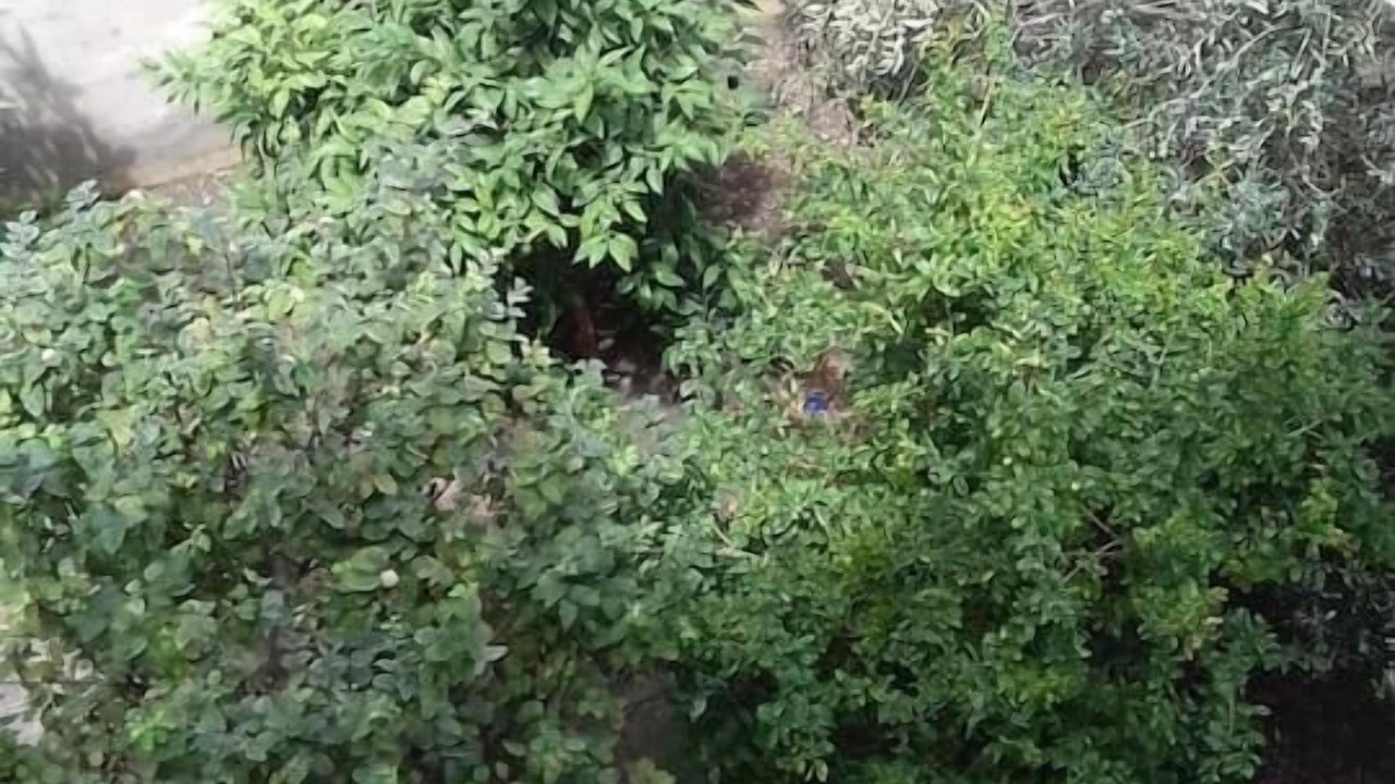 Photo of Outdoor in Bizerte
