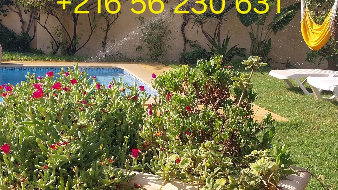 Photo of Outdoor in Tazerka