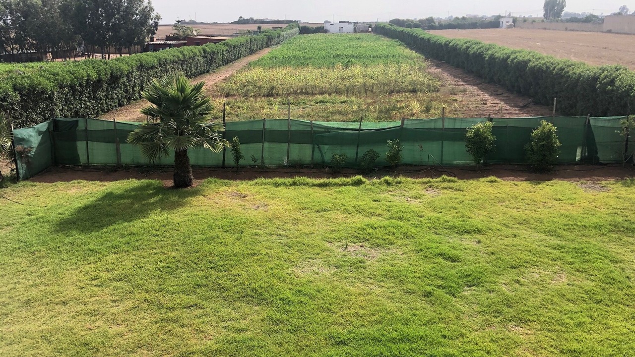 Photo of Outdoor in Laghdira