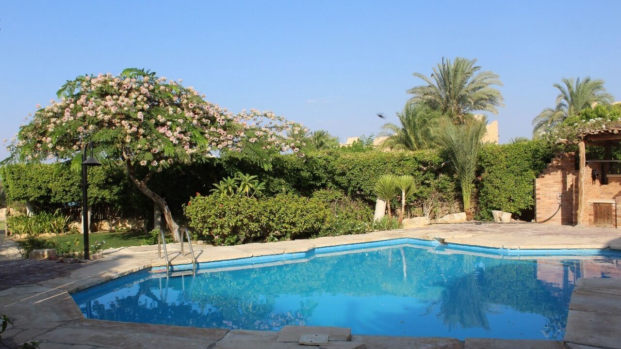 Photo of Outdoor in Yusuf as-Sidiq