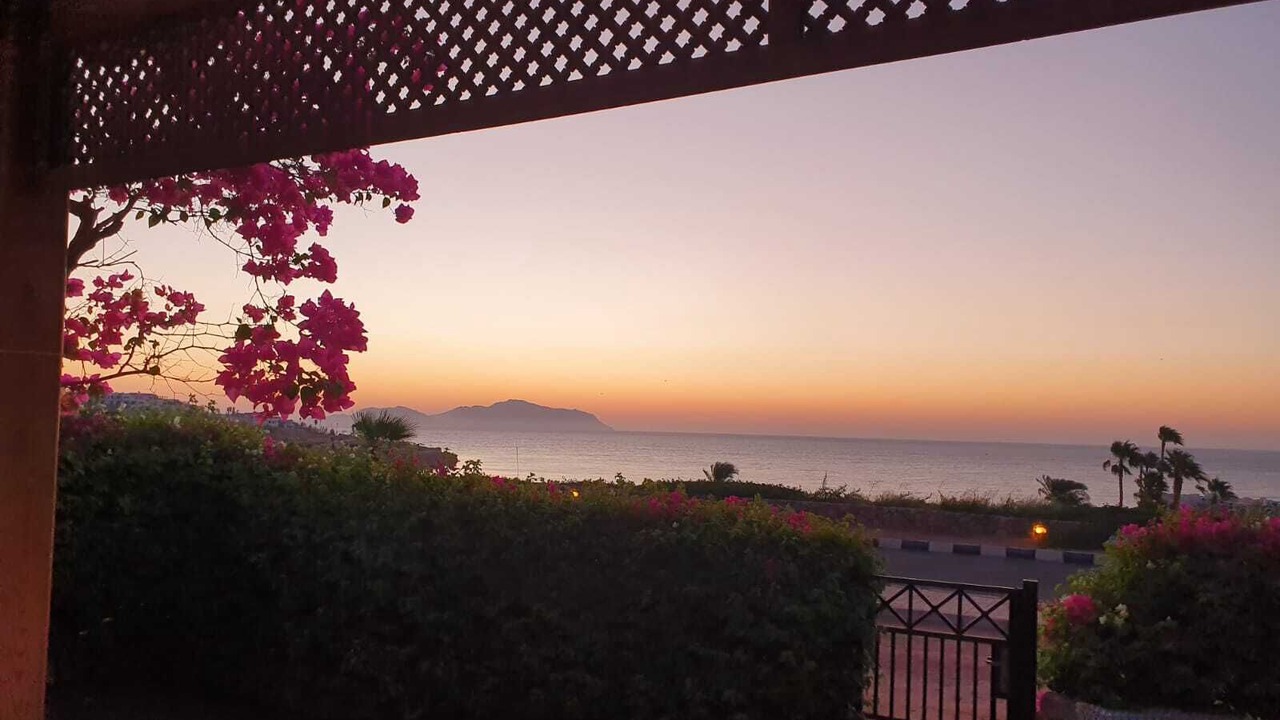 Photo of Others in Sharm El Sheikh