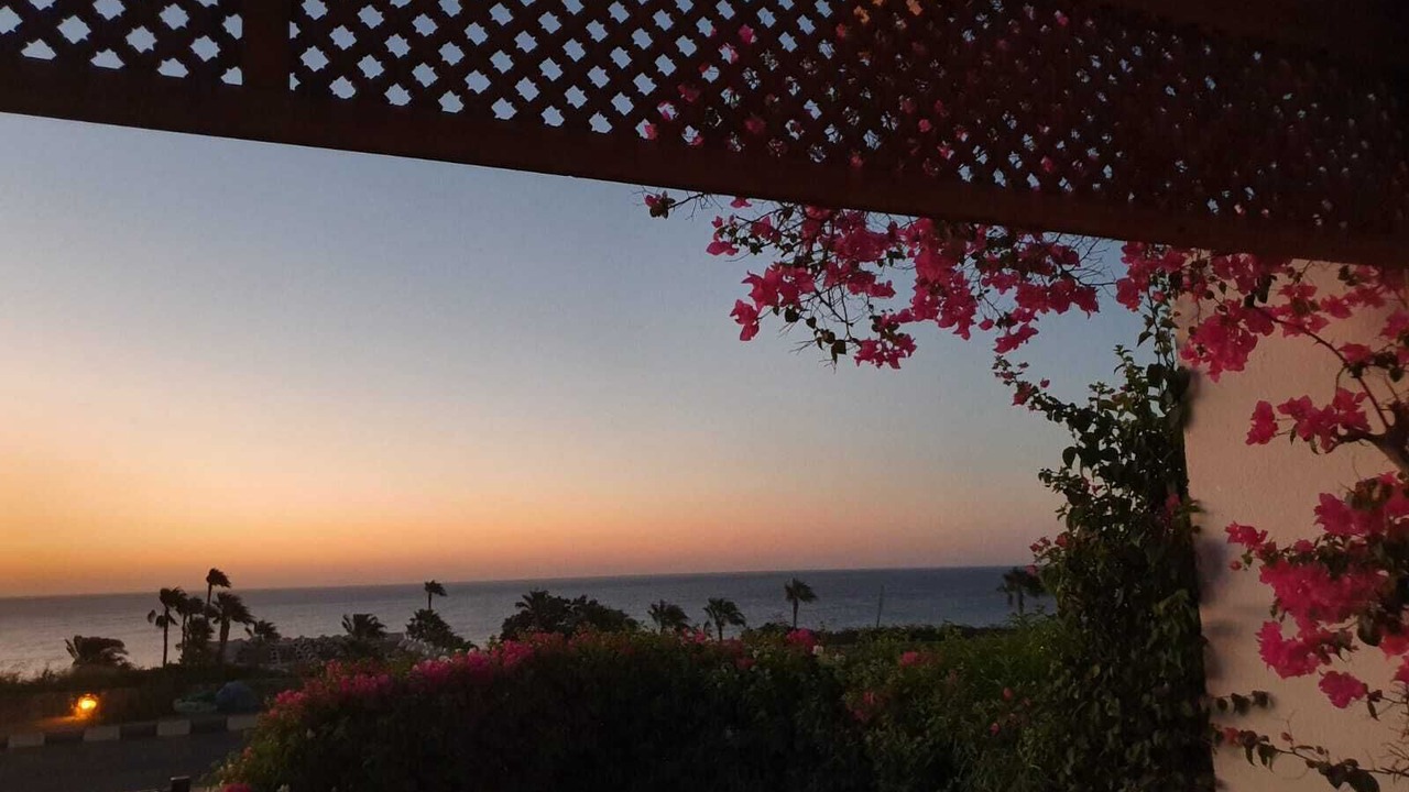 Photo of Others in Sharm El Sheikh