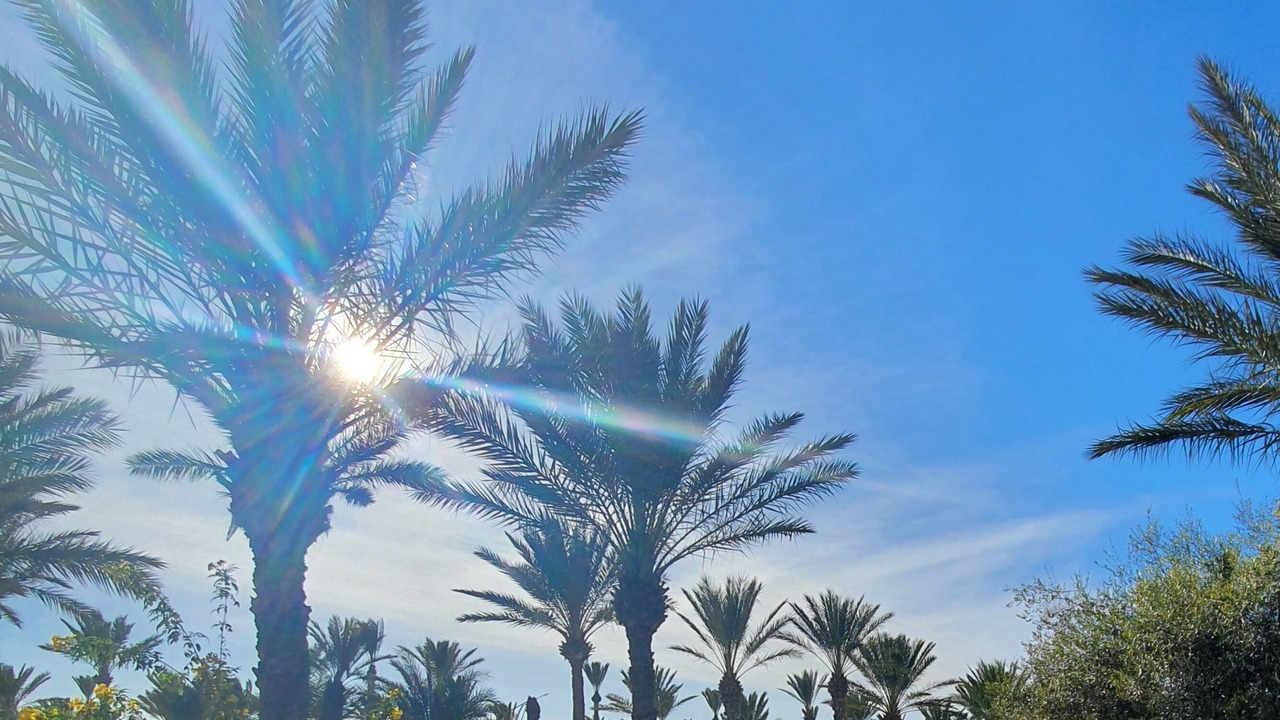 Photo of Outdoor in Djerba Midun