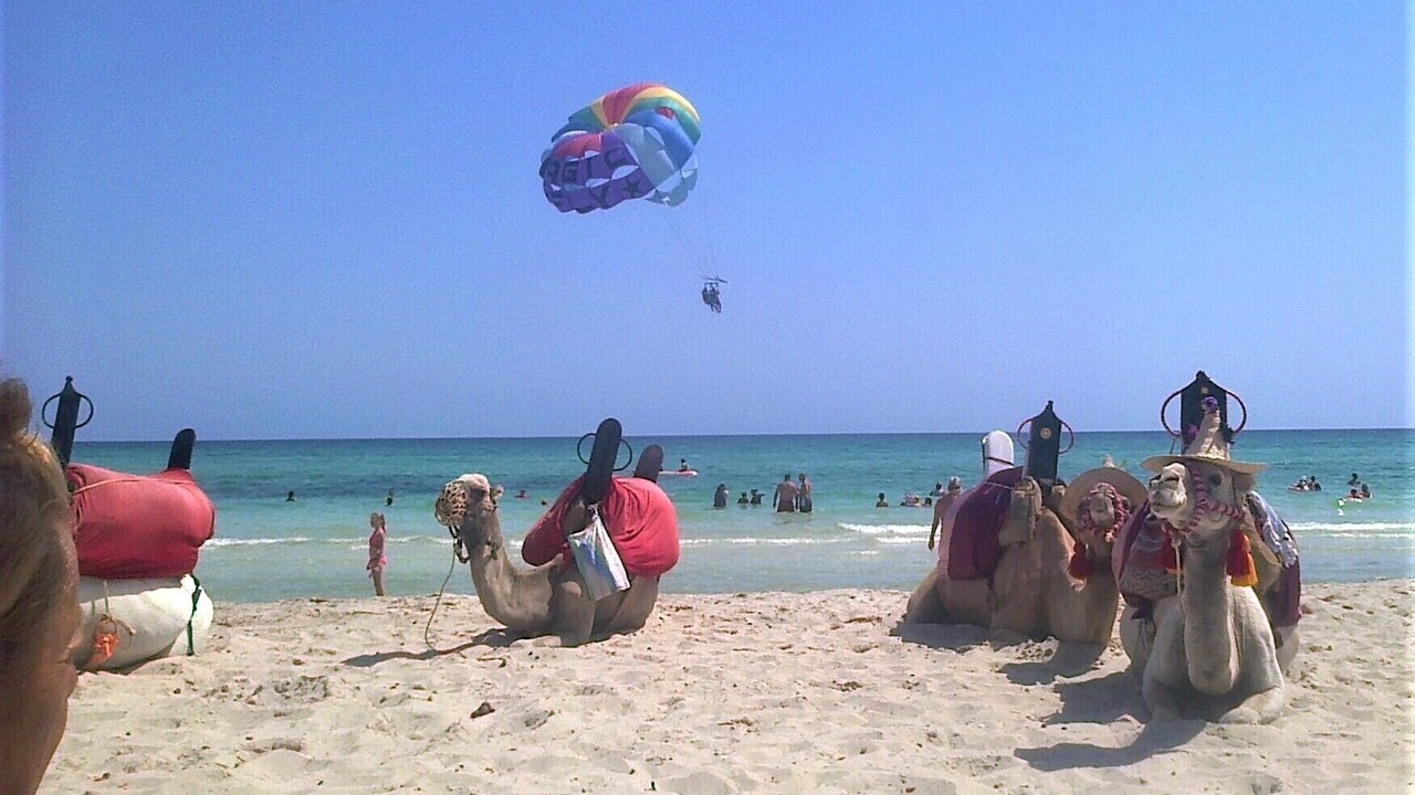 Photo of Others in Djerba Midun
