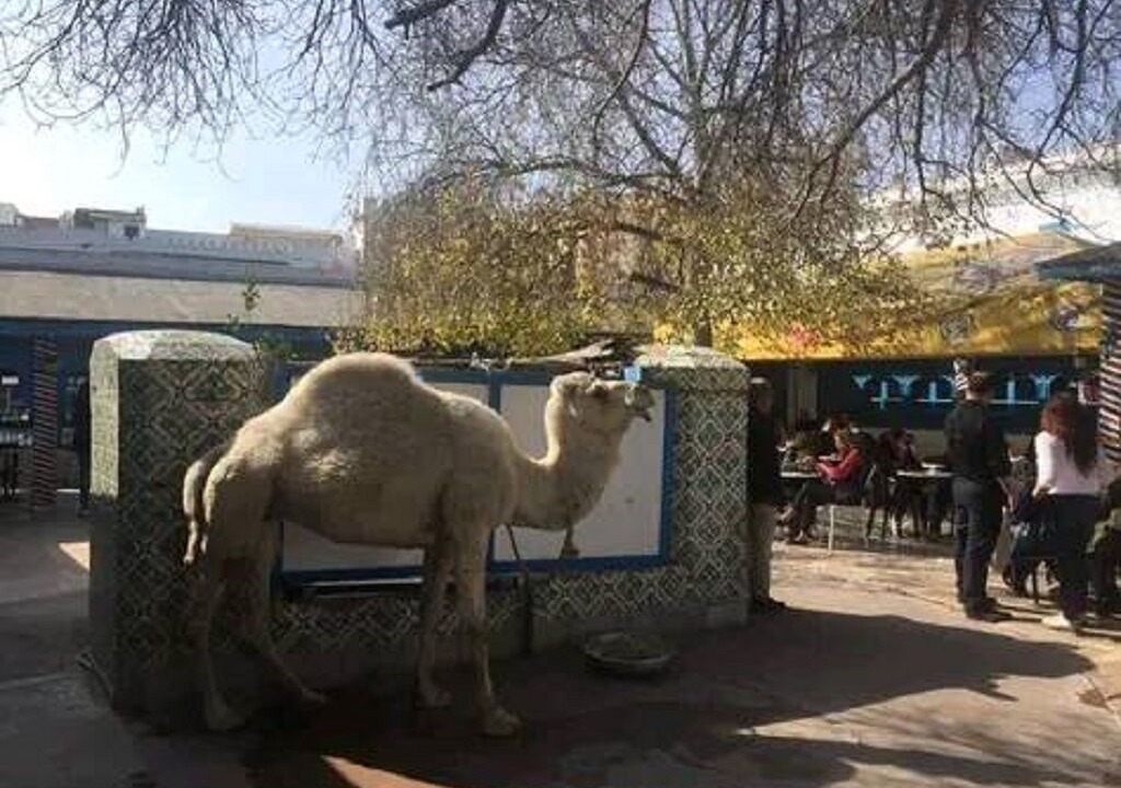 Photo of Outdoor in Carthage