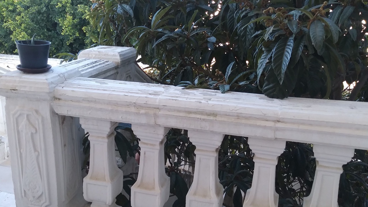Photo of Outdoor in Bardo