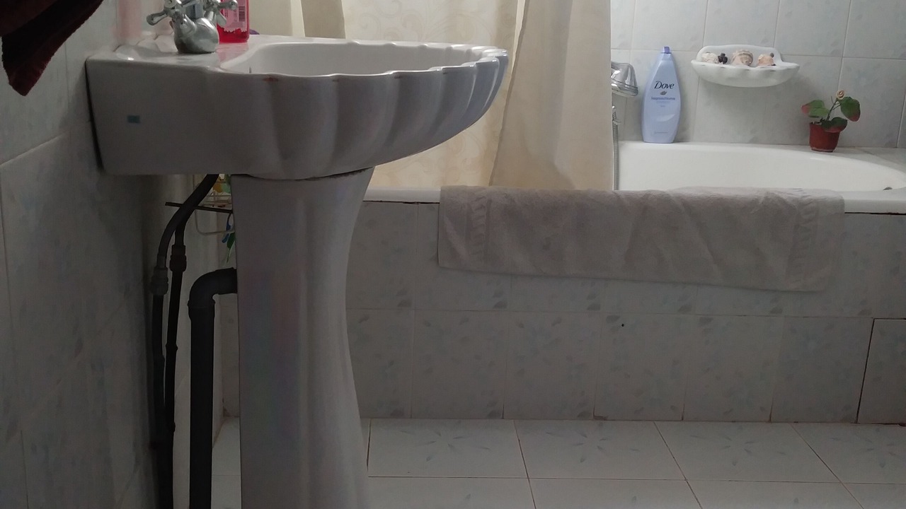 Photo of Bathroom in Bardo