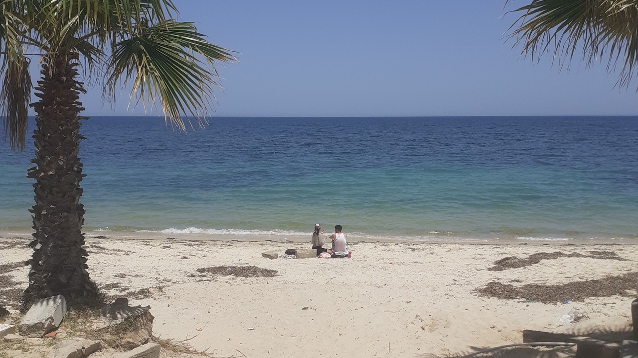 Photo of Others in Tantana