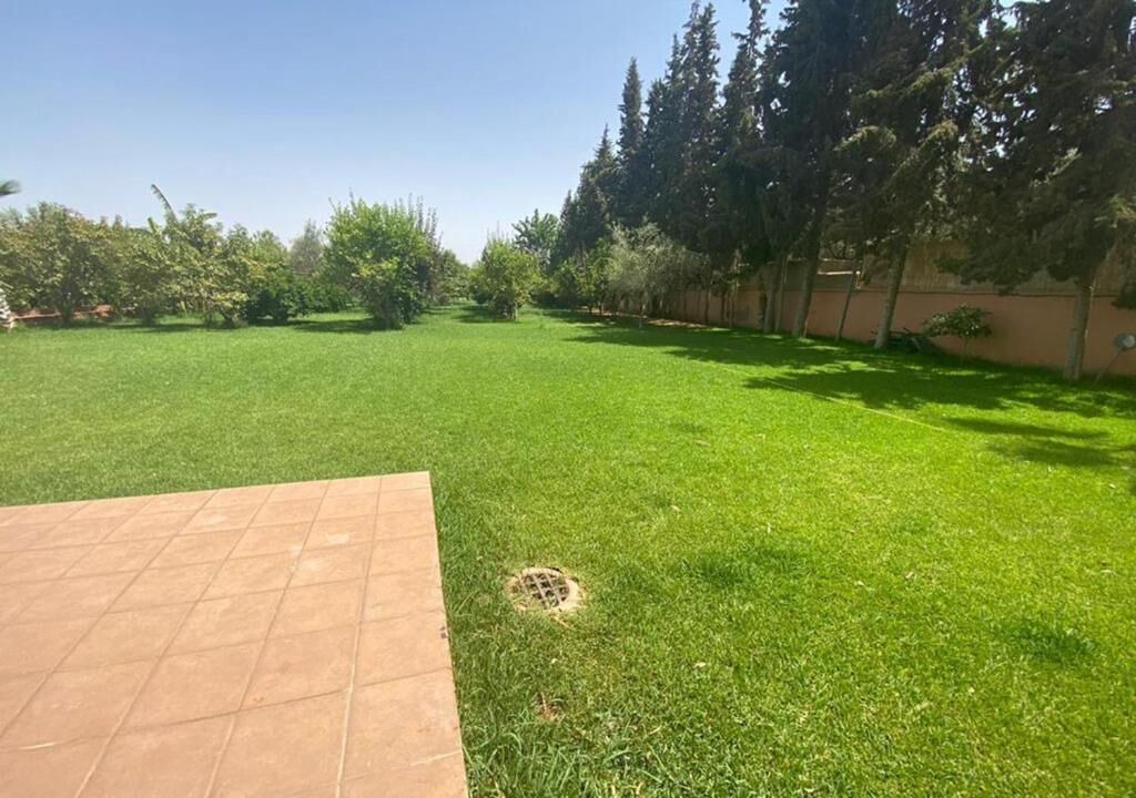 Photo of Outdoor in Medina