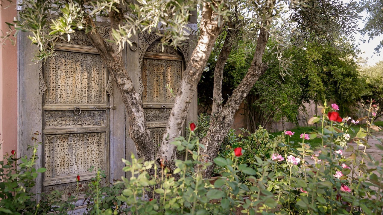 Photo of Outdoor in Marrakech