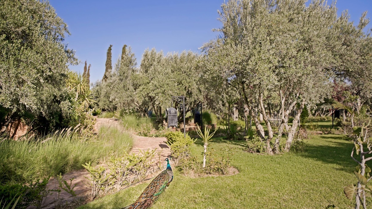 Photo of Outdoor in Marrakech