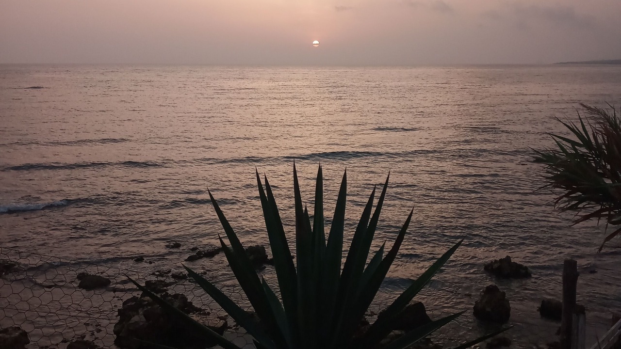 Photo of Others in Aousja