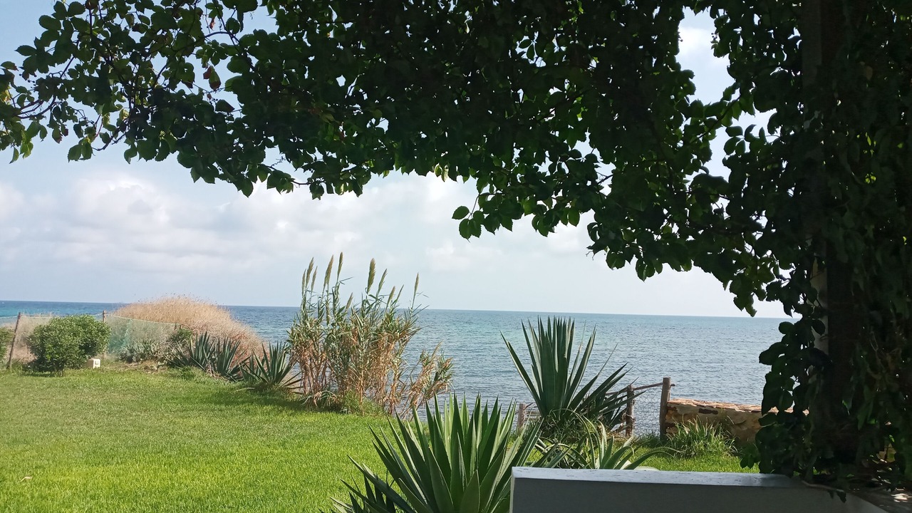Photo of Outdoor in Aousja