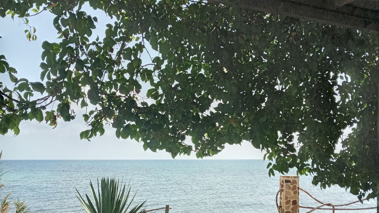 Photo of Outdoor in Aousja