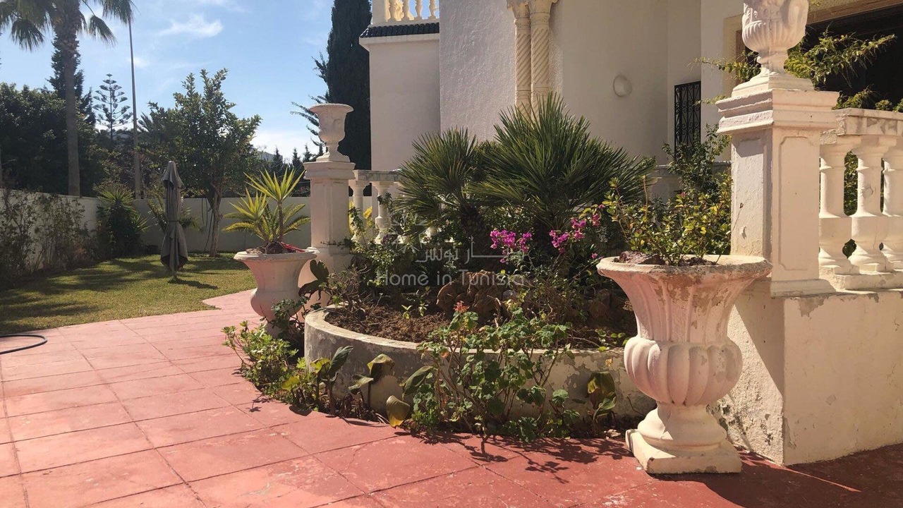 Photo of Outdoor in Hammam Sousse