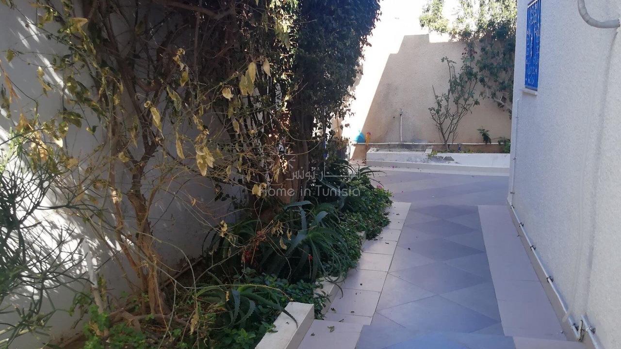Photo of Outdoor in Jemmal