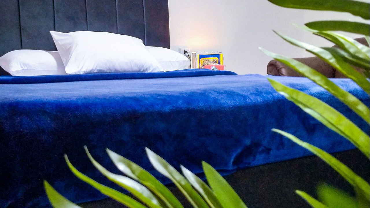 Photo of Bedroom in Giza