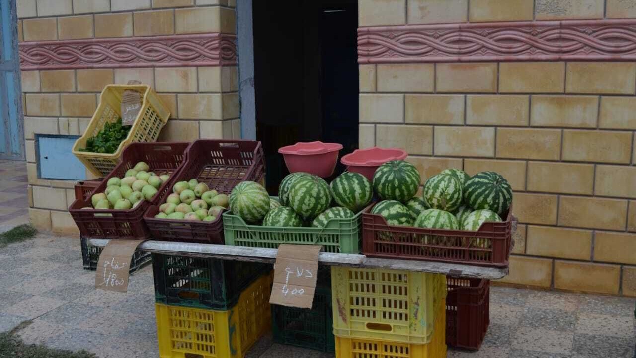 Photo of Others in Salakta