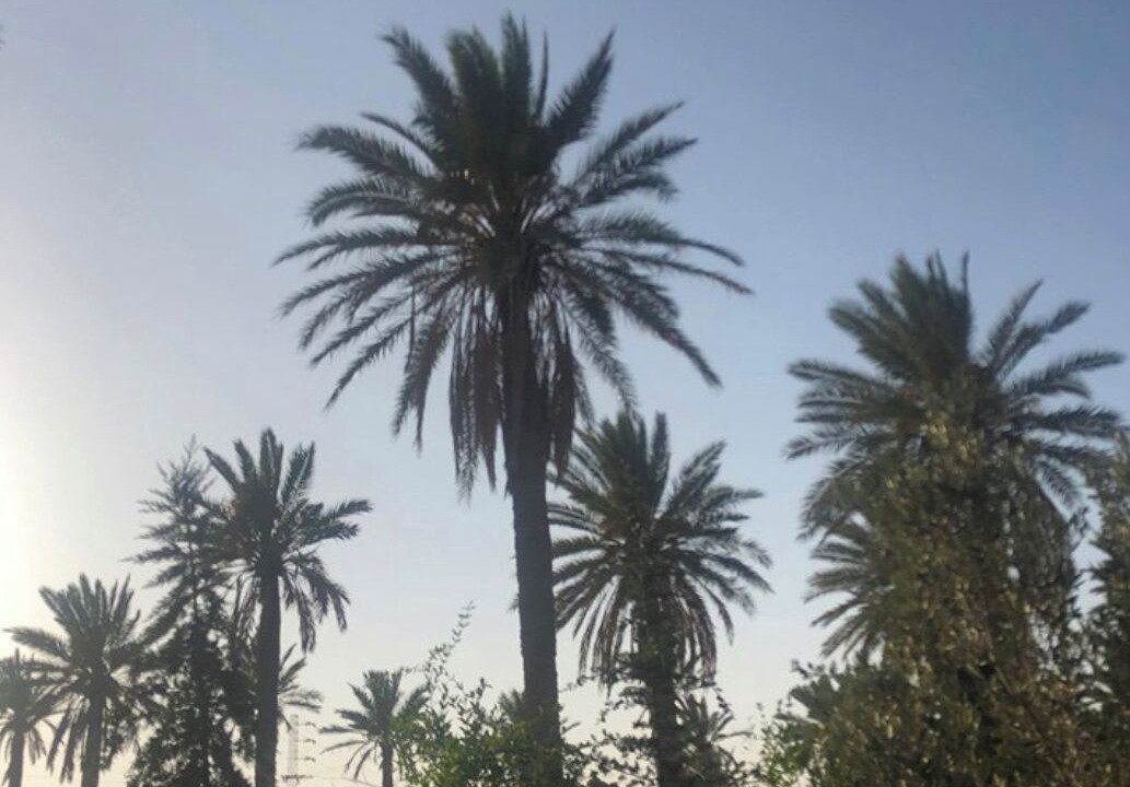 Photo of Outdoor in Hawmat al Badawiyin