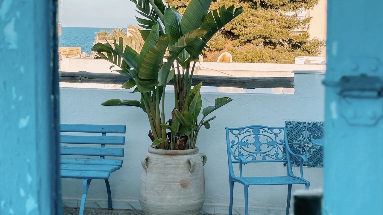 Photo of Outdoor in Tantana