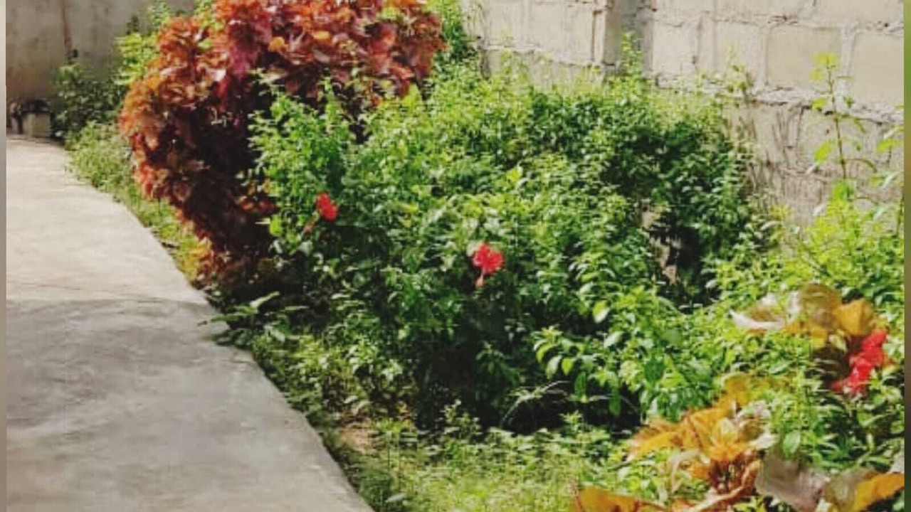 Photo of Outdoor in Agbowa