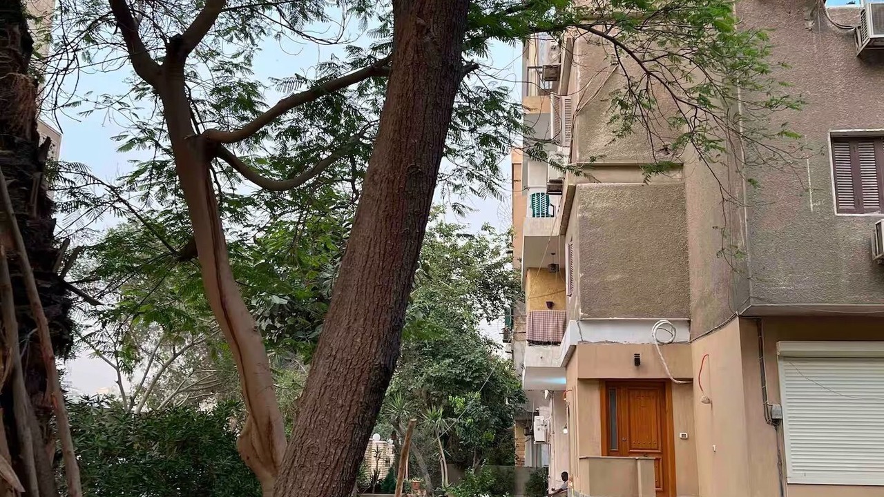 Photo of Outdoor in Maadi