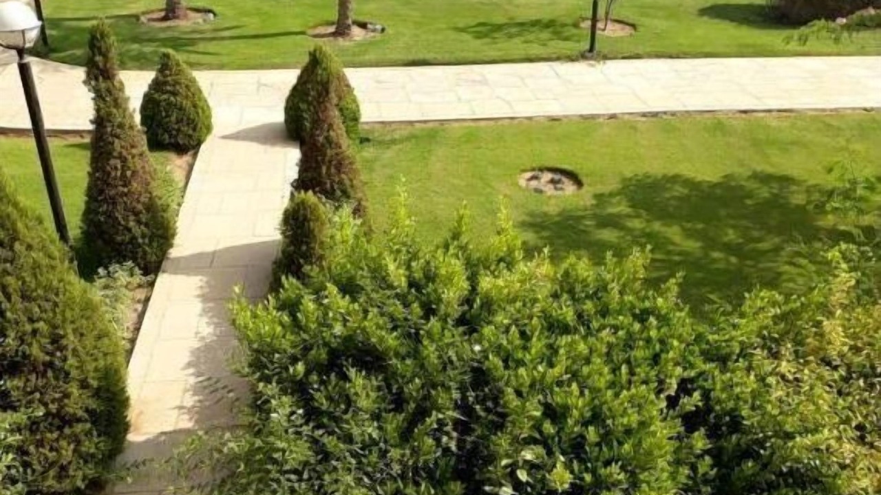 Photo of Outdoor in Al Rehab