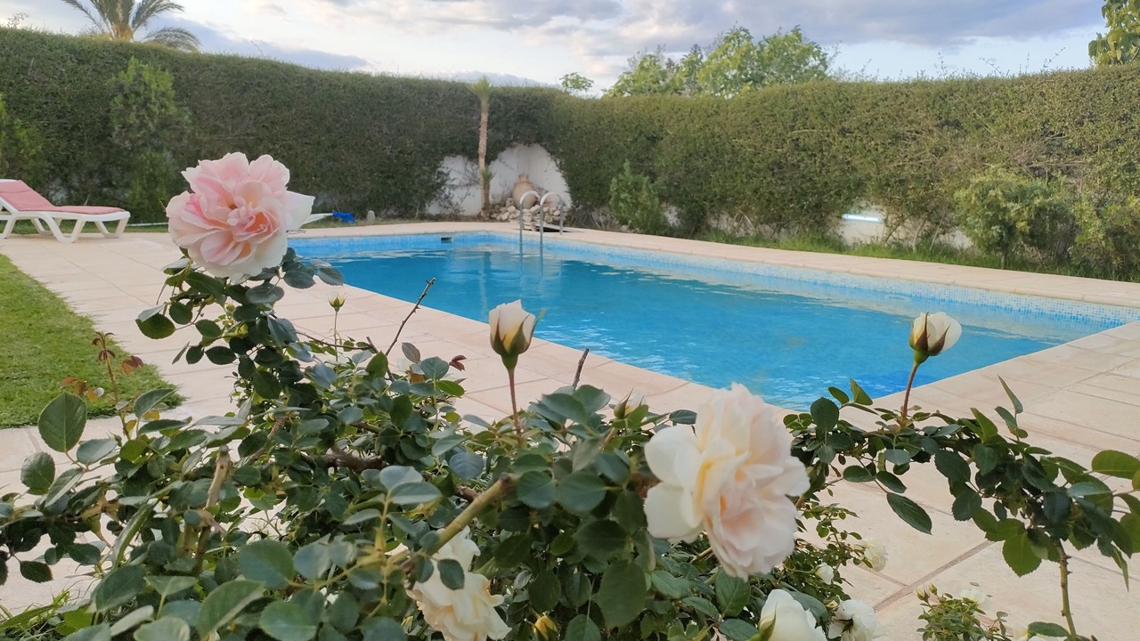 Photo of Outdoor in Port El Kantaoui