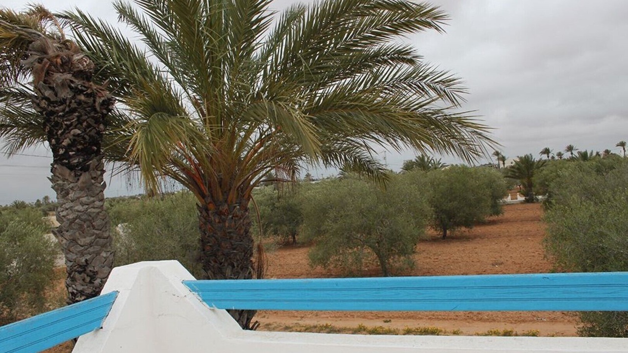 Photo of Outdoor in Djerba Midoun