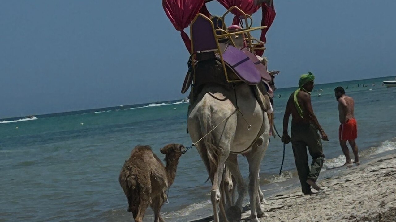 Photo of Others in Djerba Midun