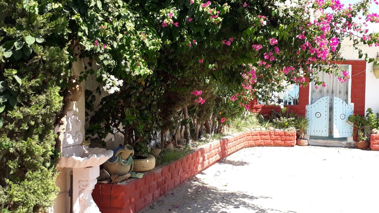 Photo of Outdoor in Kelaa Kebira