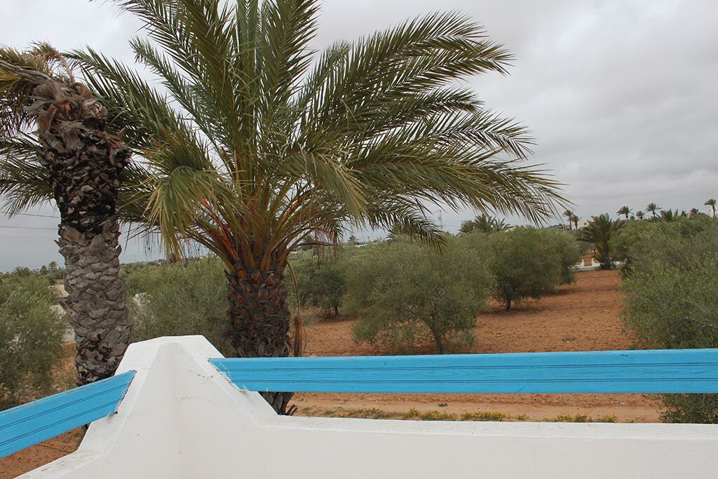 Photo of Outdoor in Djerba Midoun