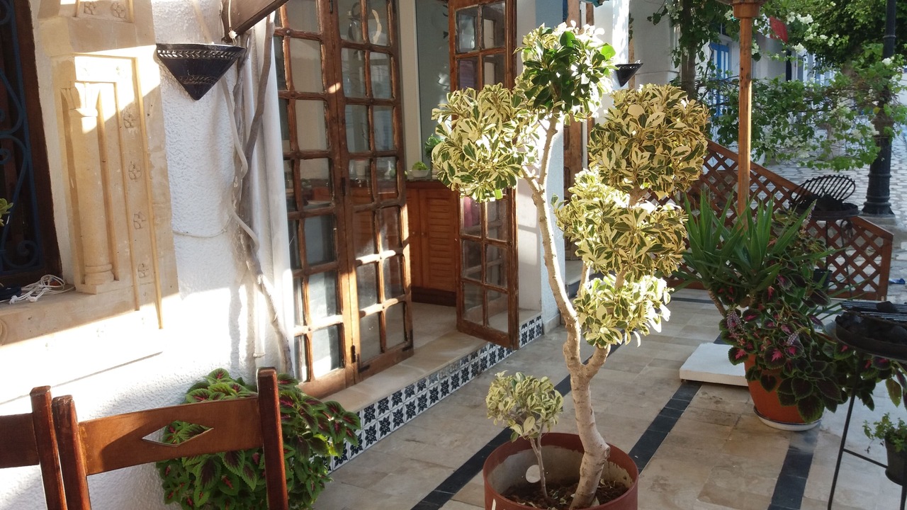 Photo of Outdoor in Hergla