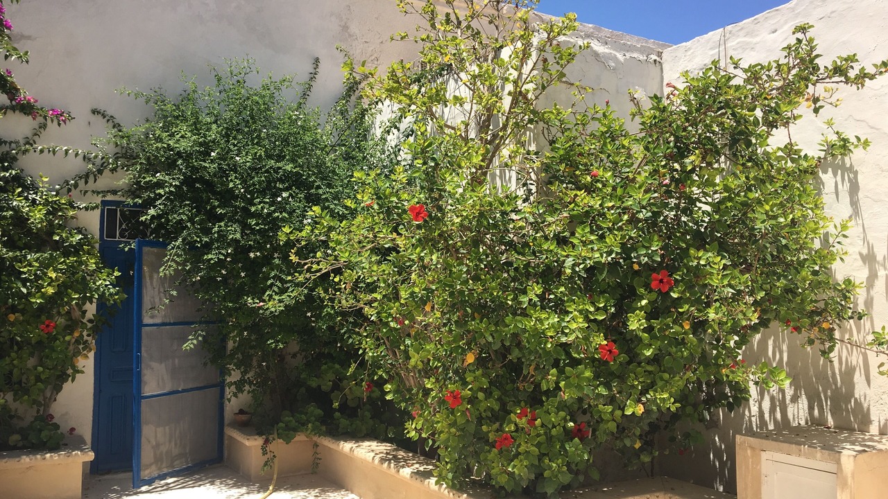 Photo of Outdoor in Houmt Souk