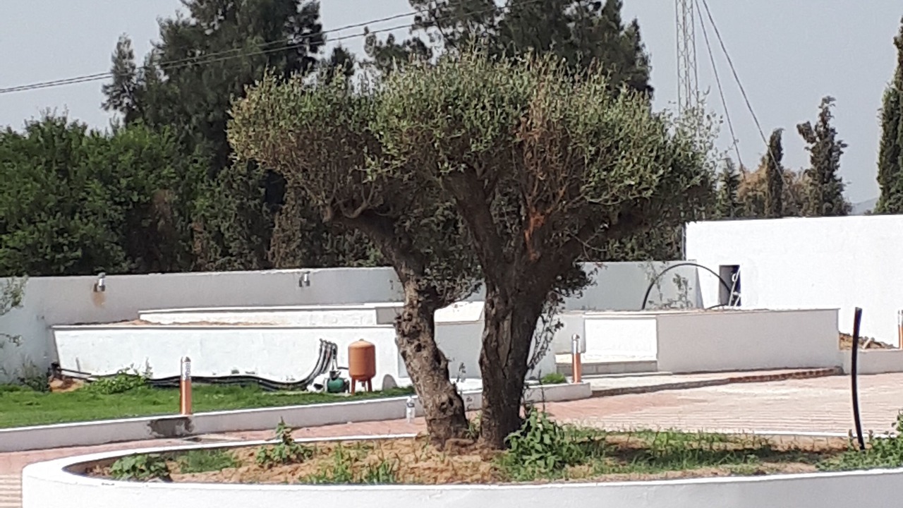 Photo of Outdoor in Bouficha