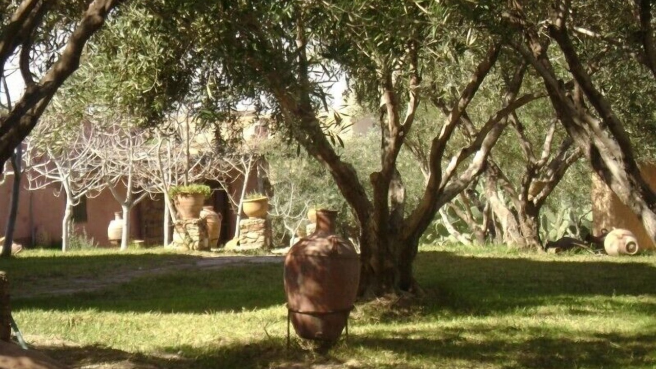 Photo of Outdoor in Gueliz