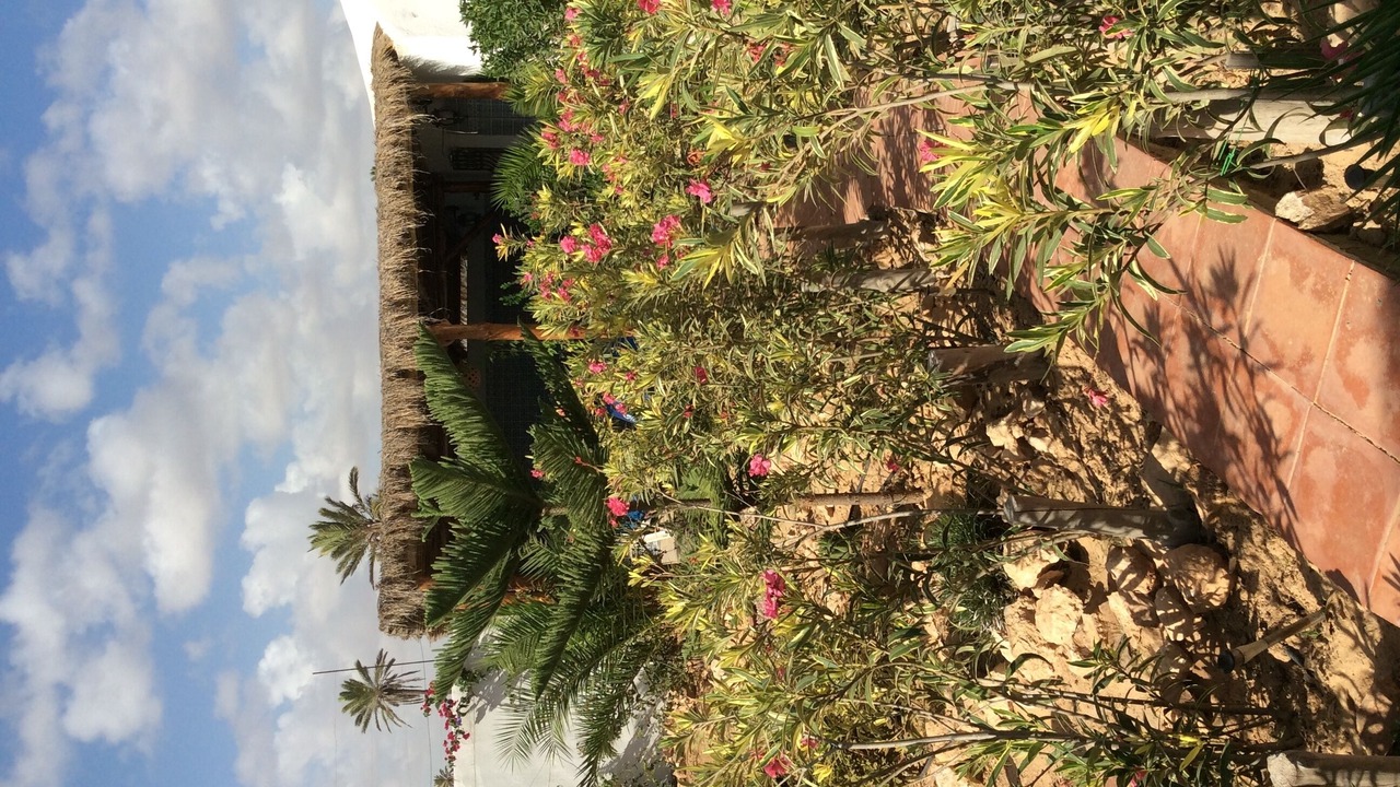 Photo of Outdoor in Houmt Arbah