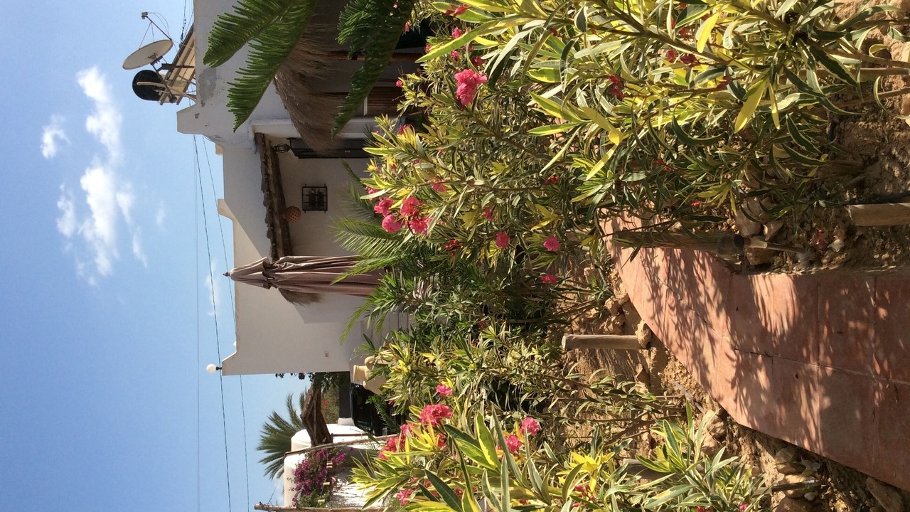Photo of Outdoor in Houmt Arbah