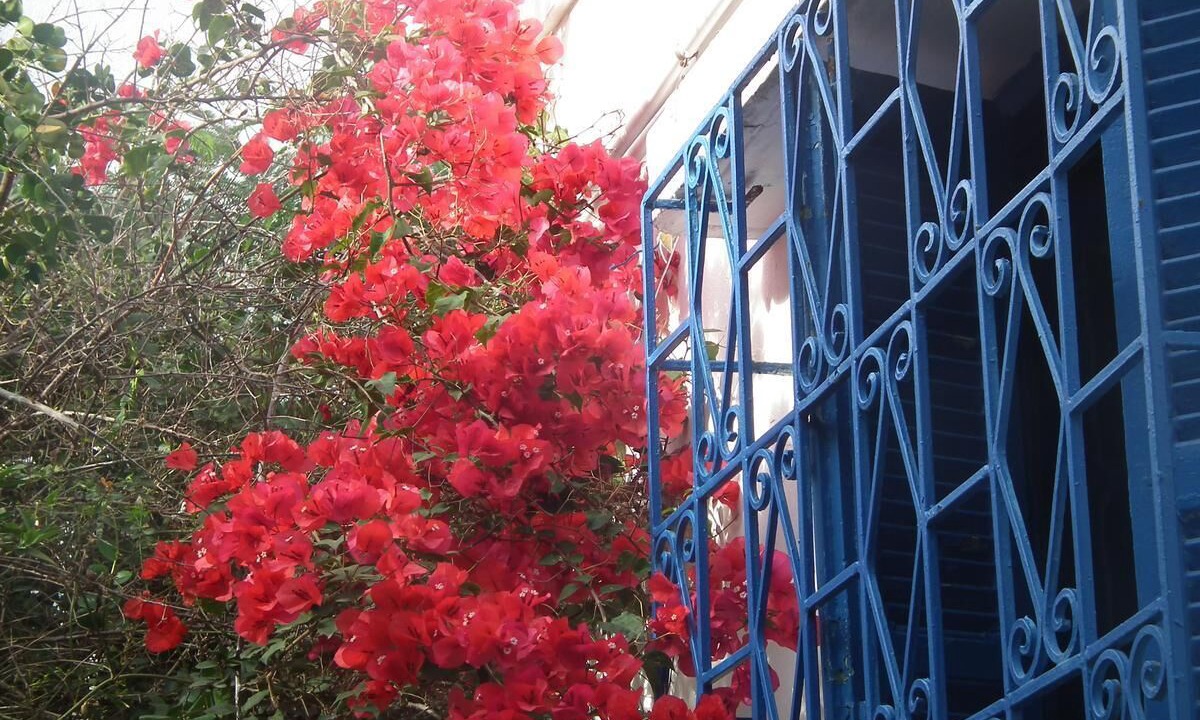 Photo of Outdoor in Aousja