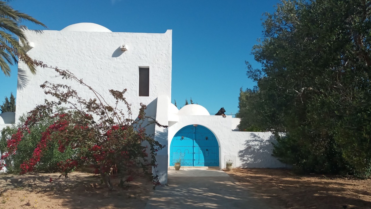 Photo of Outdoor in Arkou