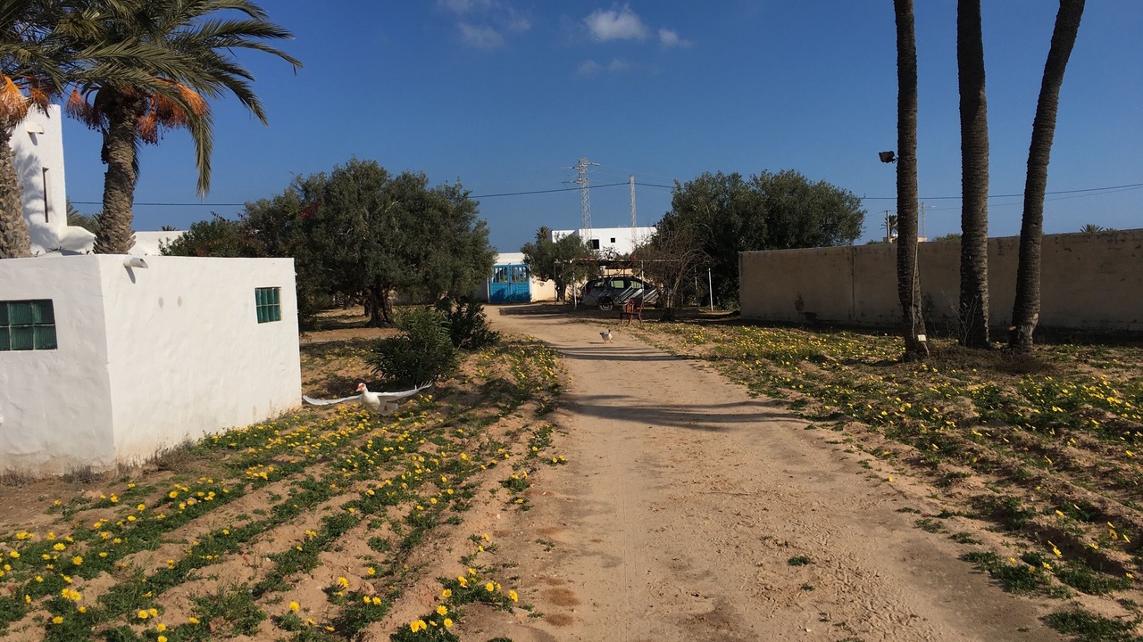 Photo of Outdoor in Arkou