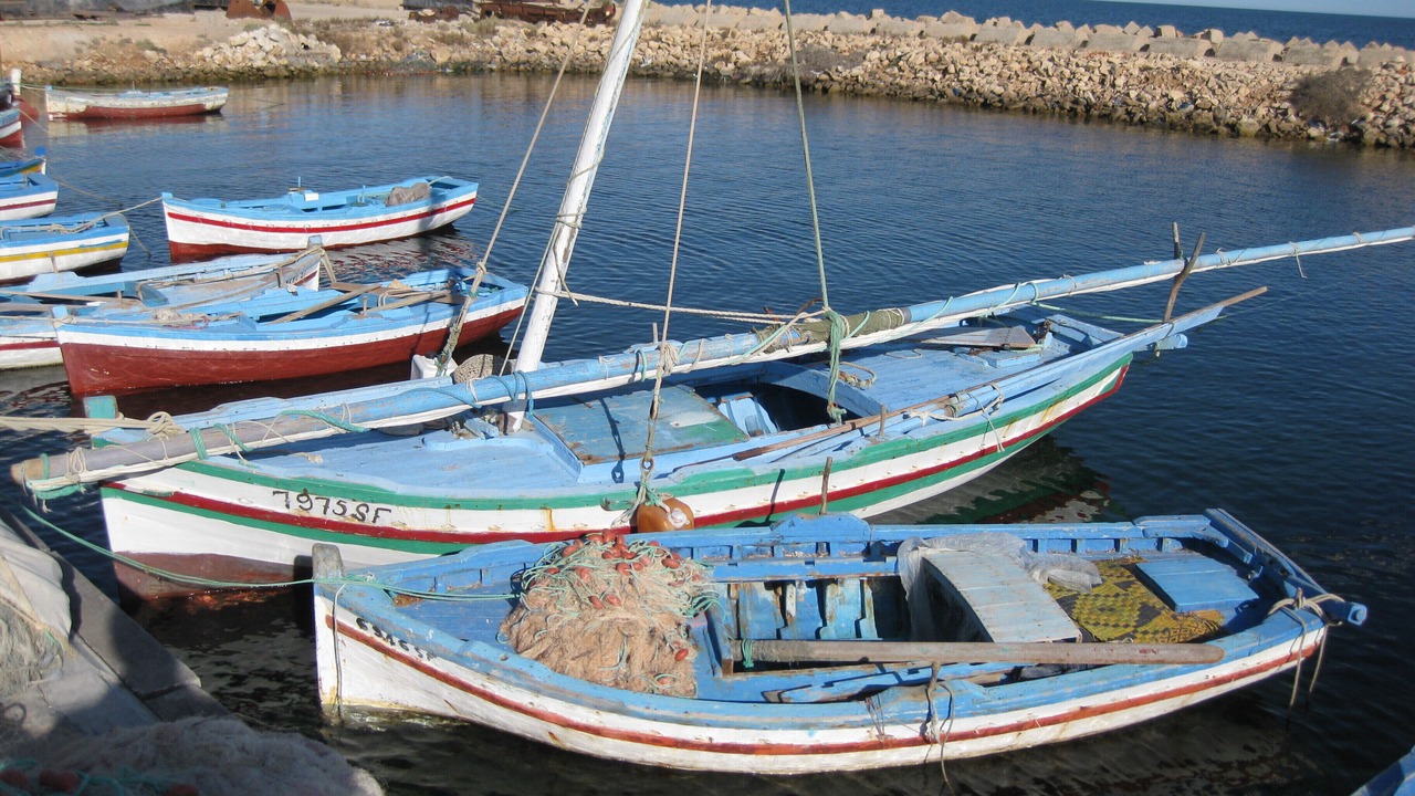 Photo of Others in Sakiet Eddaier
