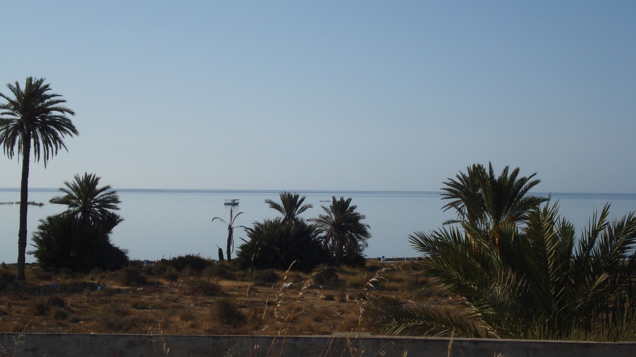 Photo of Others in Sakiet Eddaier