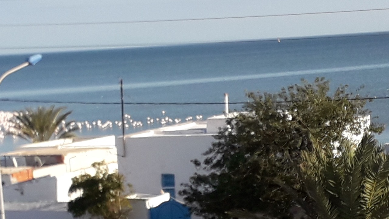Photo of Outdoor in Sakiet Eddaier