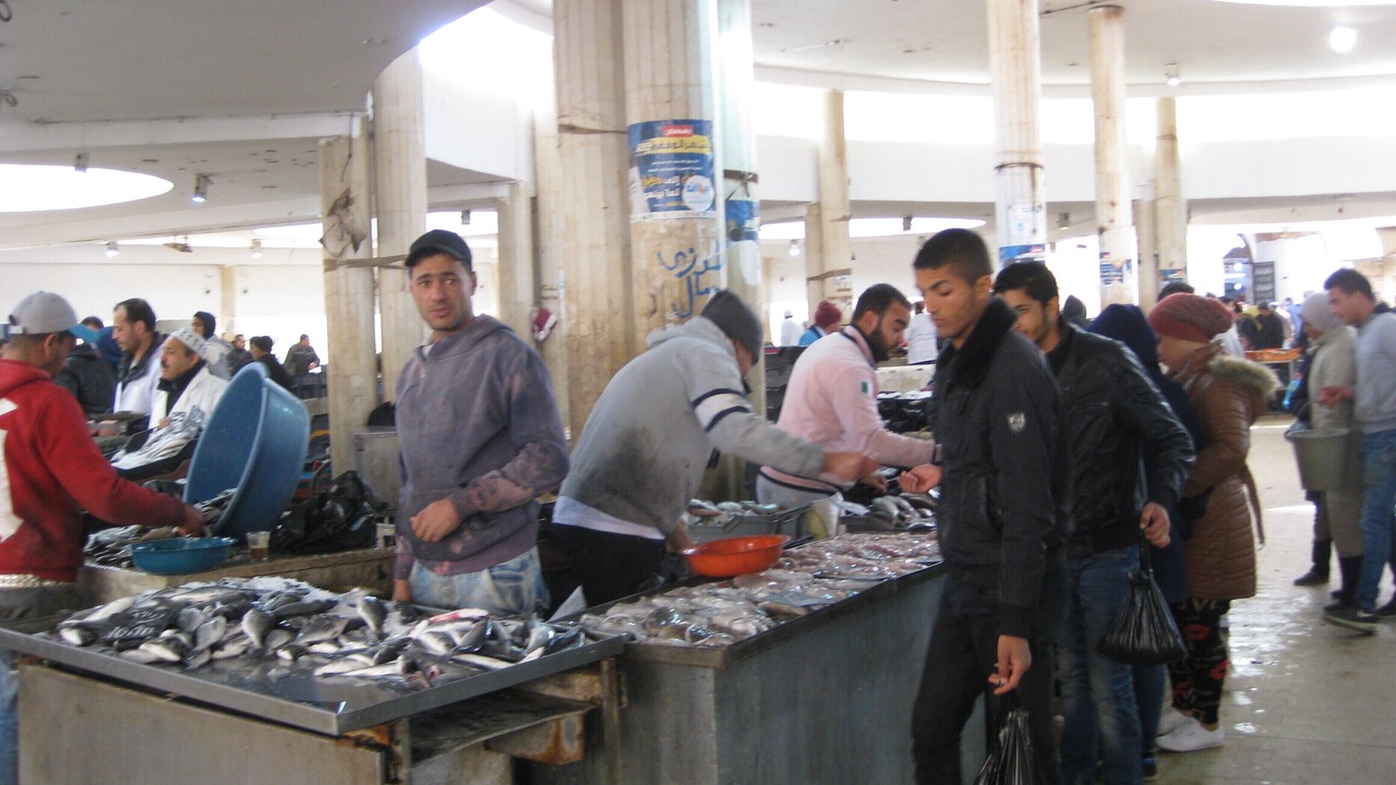 Photo of Others in Sakiet Eddaier