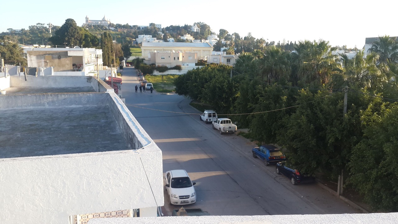 Photo of Others in Carthage