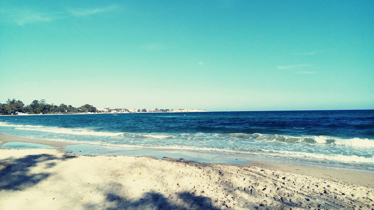 Photo of Others in Hammamet