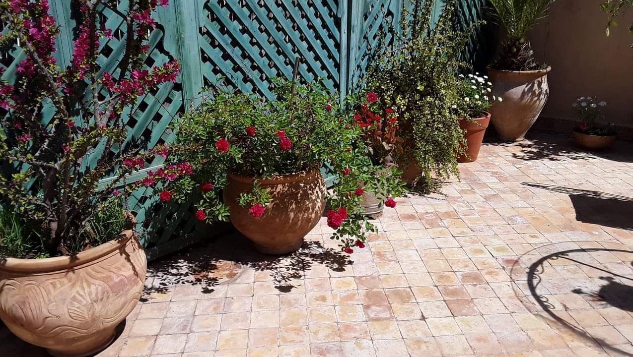 Photo of Outdoor in Ain Azlitan